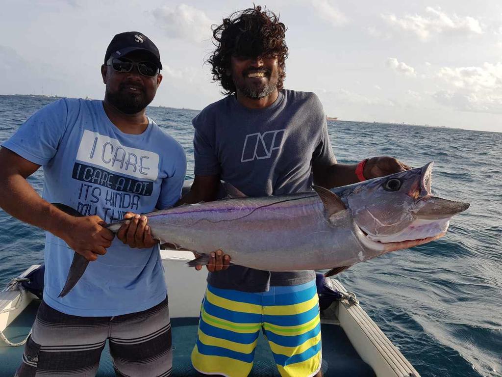 Annama Lodge And Dive Hoarafushi Exterior photo